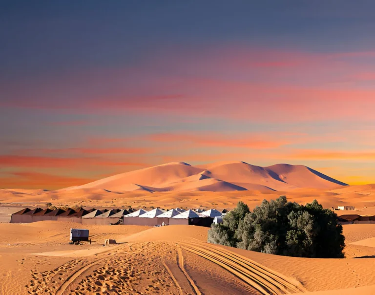 How to Travel in Morocco with Kids Stress-Free 6 merzouga desert
